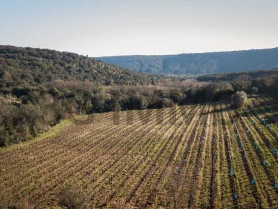 photo For sale Land BOSC 34