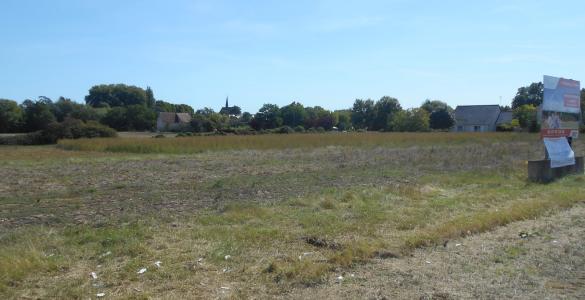 Vente Terrain MARCILLY-SUR-VIENNE 37800