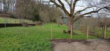 Annonce Vente 10 pièces Maison Lambrey