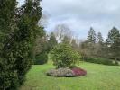 House LOUVECIENNES 