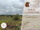 For sale Land Clermont-l'herault  34800