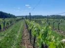 Acheter Maison Charente maritime