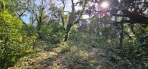 Land MONTELIMAR 