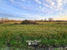 Acheter Terrain 7700 m2 Pizou