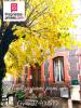 For sale Apartment building Firminy 42700 14 rooms
