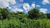 For sale Land Abymes 97139 697 m2