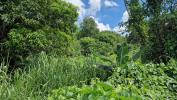 Land ABYMES 