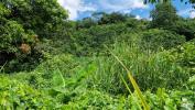 Land ABYMES 