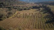 Land BOSC 