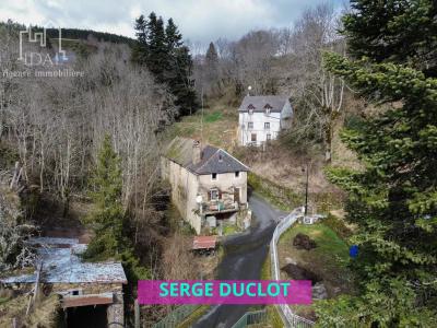 Vente Maison HERMAUX 48340