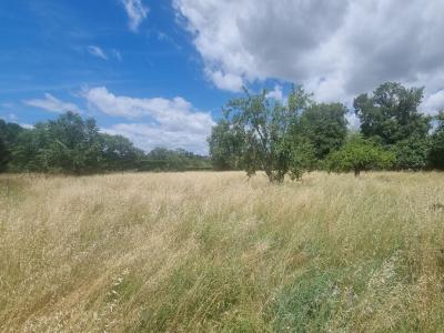 For sale Land COUFOULEUX  81