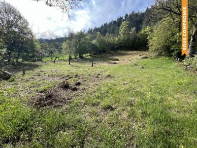 photo For sale Land SALELLES 48