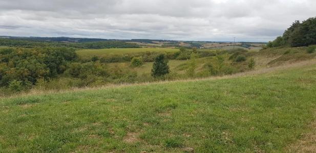 photo For sale Land ORDAN-LARROQUE 32