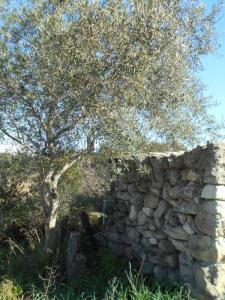 photo For sale Land SAINT-PONS-DE-MAUCHIENS 34