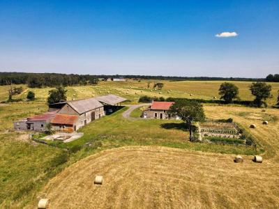 photo For sale House MAGNY-COURS 58