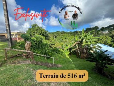 photo For sale Land ROBERT 972