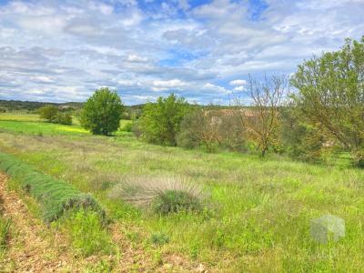 photo For sale Land LARNAS 07