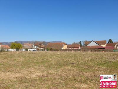 Vente Terrain CHAUX 90330