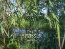 Annonce Vente 7 pièces Maison Plobsheim