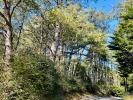 Annonce Vente 7 pièces Maison Neufchatel-hardelot