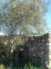 For sale Land Saint-pons-de-mauchiens  34230 6270 m2