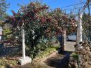 Annonce Vente 6 pièces Maison Meyzieu