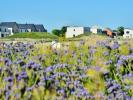 Acheter Terrain Vern-sur-seiche 80100 euros