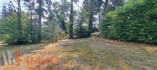 Annonce Vente Terrain Saint-galmier