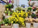 Acheter Local commercial Nimes Gard