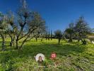 House TRANS-EN-PROVENCE 