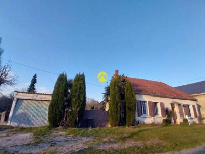 photo For sale House SANCOINS 18