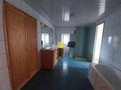 Vente Maison SANCOINS 