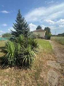 Vente Maison 6 pièces BEAUREPAIRE 38270