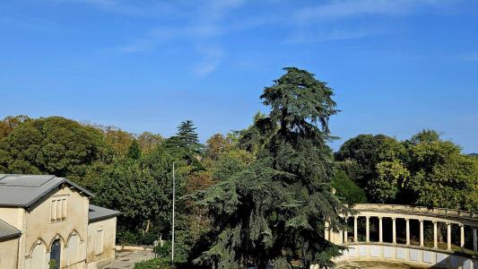 photo For sale Apartment MONTPELLIER 34