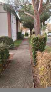 For sale Apartment VILLE-DIEU-DU-TEMPLE ROUTE DE MEAUZAC 82