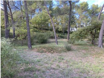 Vente Terrain GREASQUE 13850