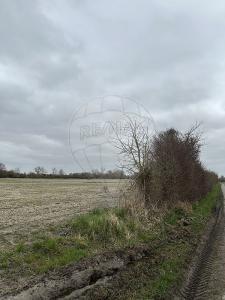 For sale Land WABEN  62