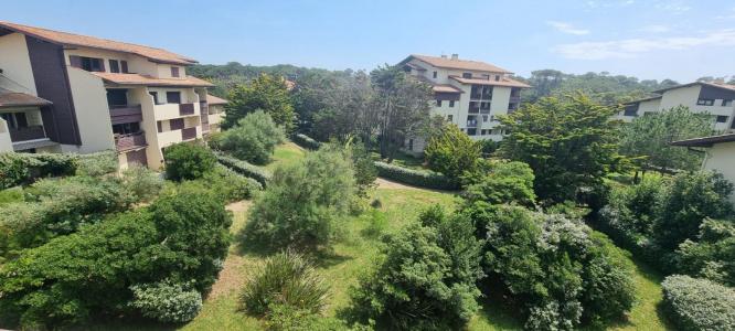 Vente Appartement 2 pièces SEIGNOSSE 40510