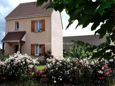 Vente Maison 5 pices NOGENT-LE-ROI 28210