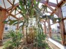 For sale Apartment Toulouse 31300 95 m2 4 rooms