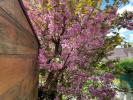 House FERTE-SOUS-JOUARRE 