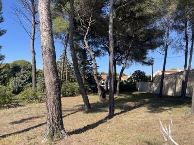 Vente Terrain SAINT-MITRE-LES-REMPARTS 13920