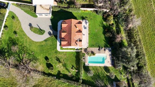 photo For sale House PRUNELLI-DI-FIUMORBO 20