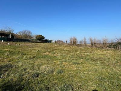 Vente Terrain COCHEREL  77