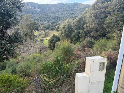 Vente Terrain VICO  20