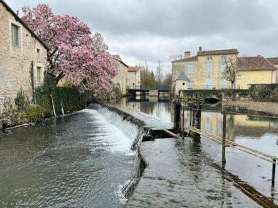 Vente Maison VERTEUIL-SUR-CHARENTE 