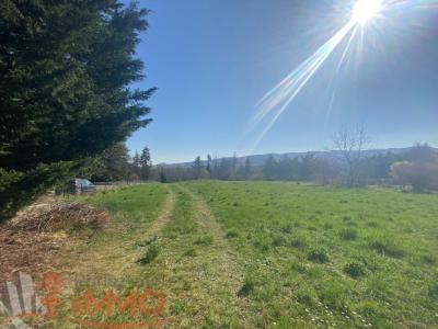 Vente Terrain BOEN 42130