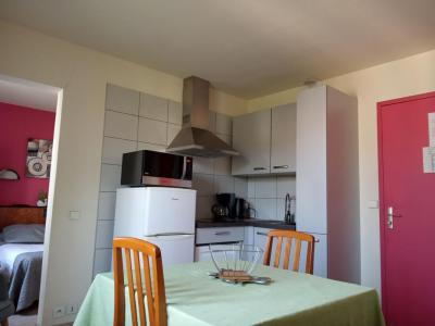 Location Appartement AIX-LES-BAINS  73