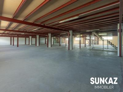 Location Local commercial SAINT-LOUIS 97450