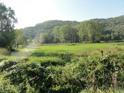 Vente Terrain SAINT-SERNIN-DU-BOIS 71200